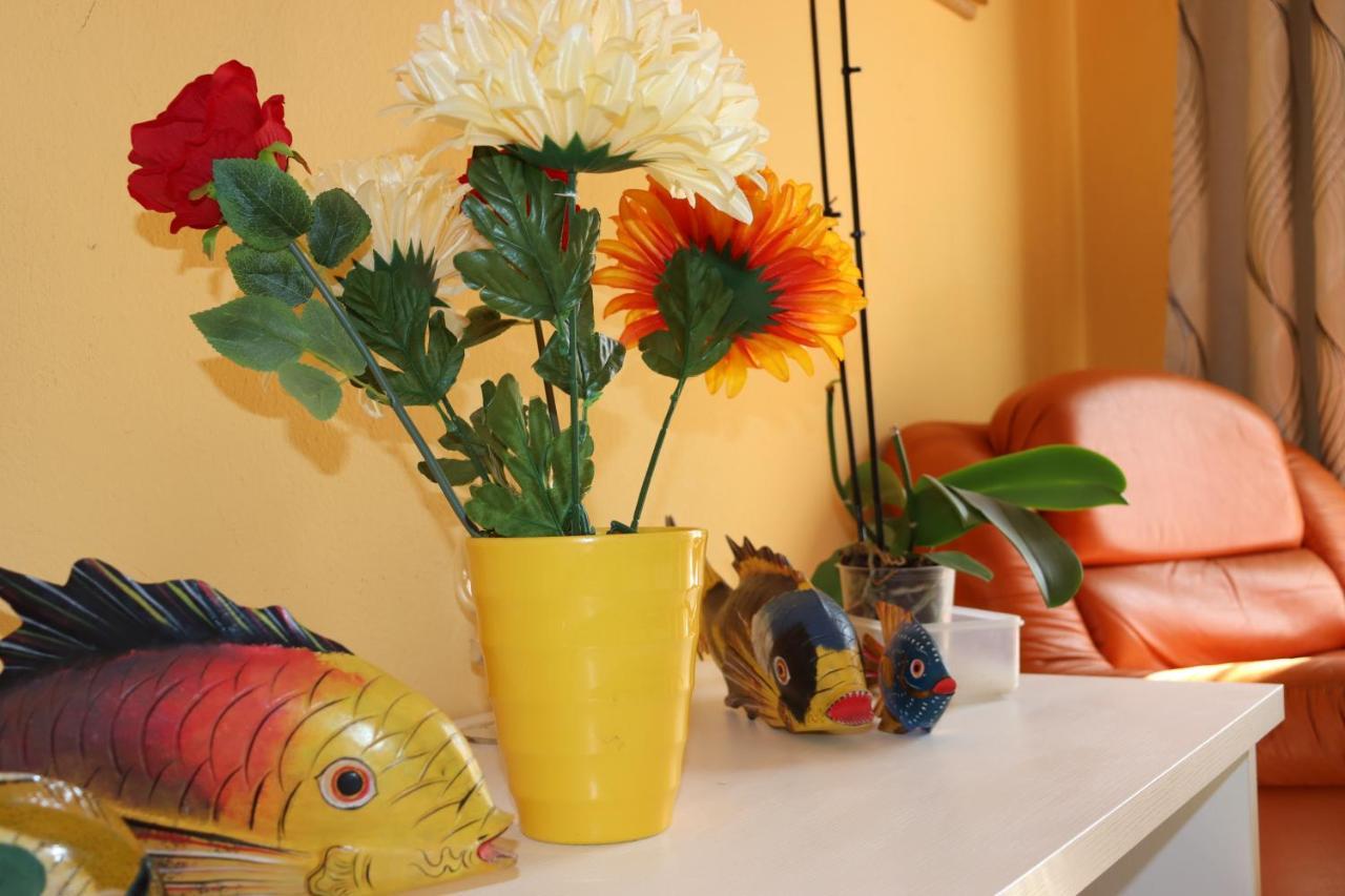 Casa Andreea Vicino Al Centro Di Olbia Iun R5904 아파트 외부 사진